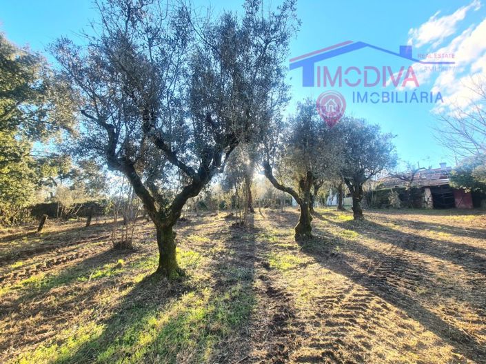 Image No.32-Maison de 6 chambres à vendre à Pedrógão Grande