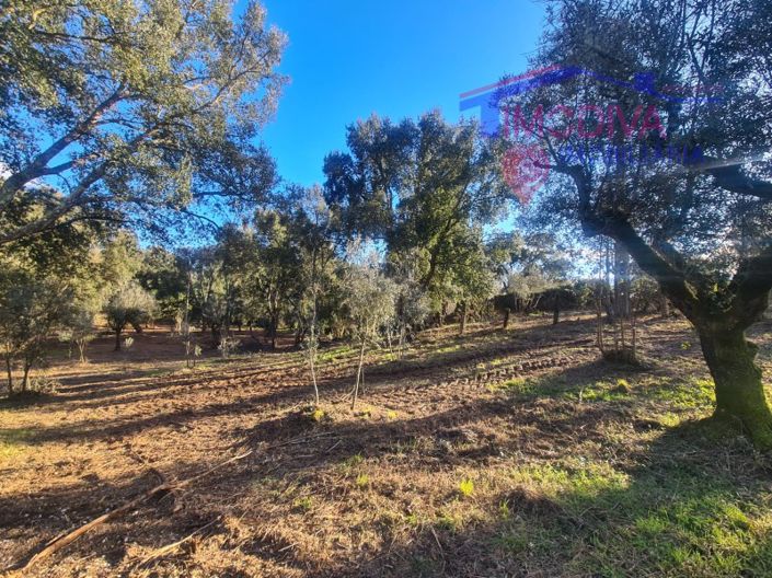 Image No.33-Maison de 6 chambres à vendre à Pedrógão Grande