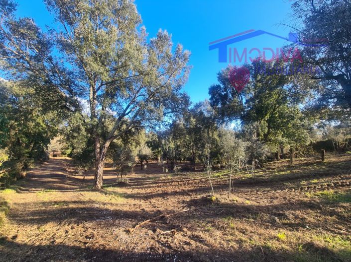 Image No.34-Maison de 6 chambres à vendre à Pedrógão Grande