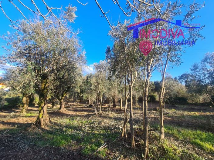 Image No.36-Maison de 6 chambres à vendre à Pedrógão Grande