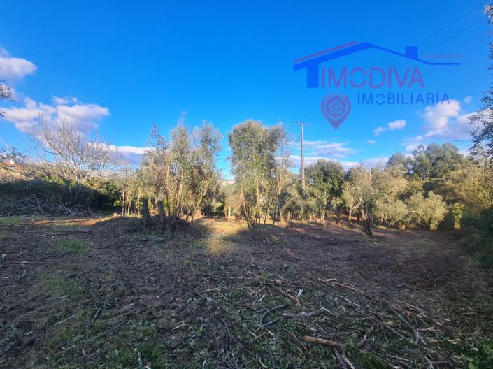 Image No.37-Maison de 6 chambres à vendre à Pedrógão Grande