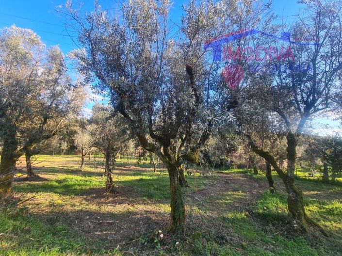 Image No.38-Maison de 6 chambres à vendre à Pedrógão Grande