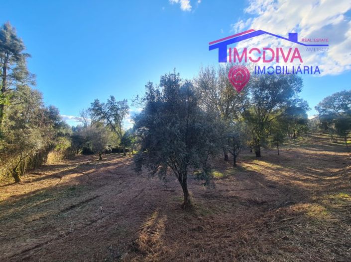 Image No.39-Maison de 6 chambres à vendre à Pedrógão Grande