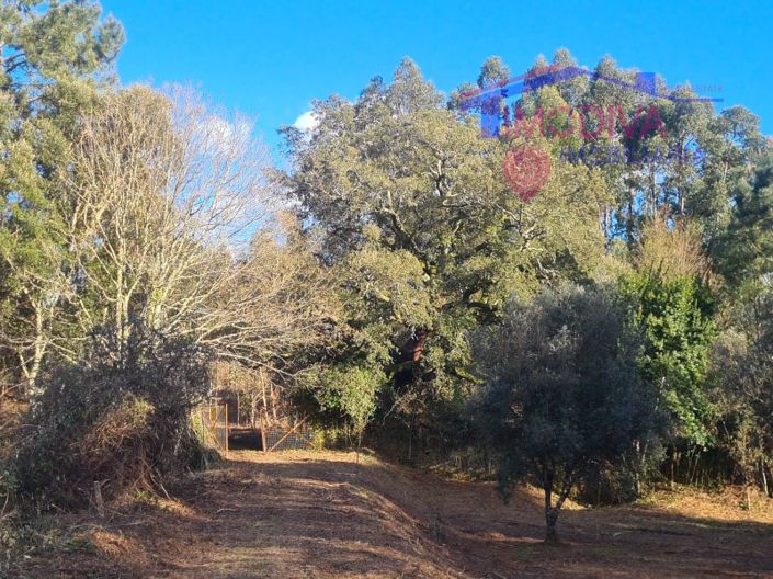 Image No.40-Maison de 6 chambres à vendre à Pedrógão Grande