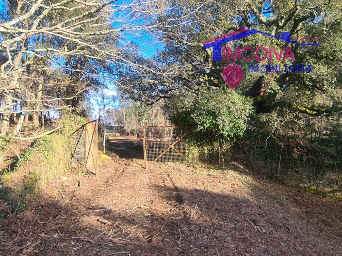 Image No.41-Maison de 6 chambres à vendre à Pedrógão Grande