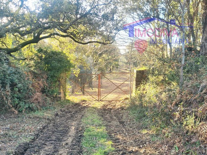 Image No.42-Maison de 6 chambres à vendre à Pedrógão Grande
