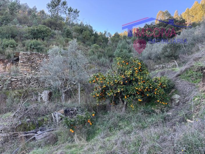 Image No.33-Plot for sale