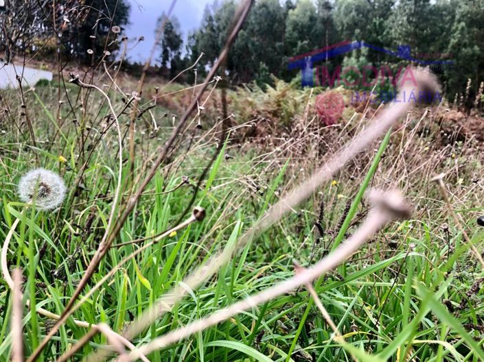 Image No.10-Plot for sale