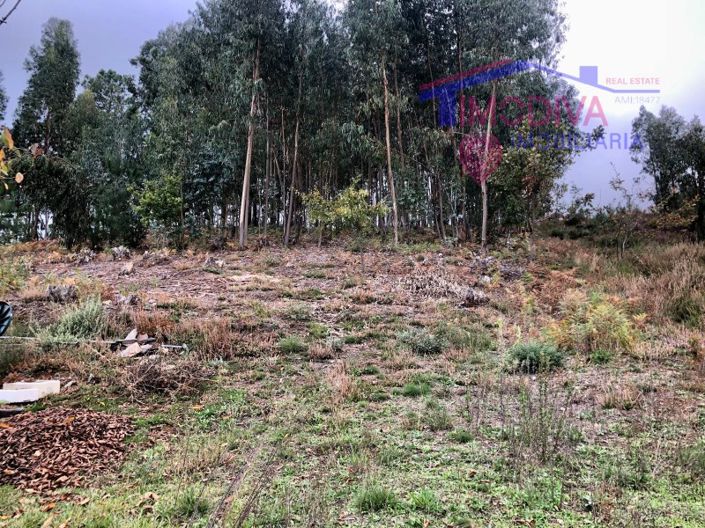 Image No.5-Plot for sale