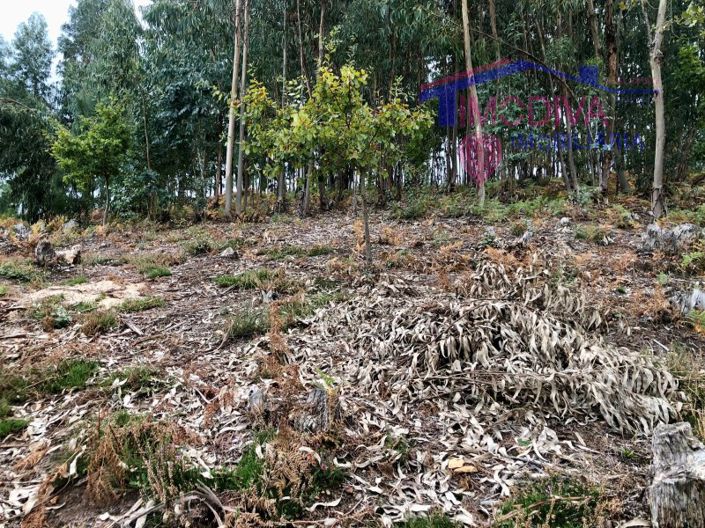 Image No.7-Plot for sale