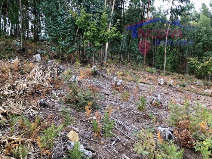 Image No.8-Plot for sale