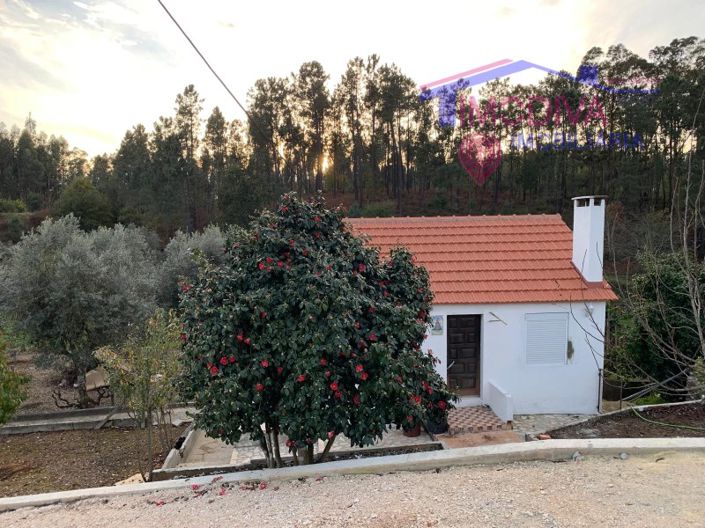 Image No.2-Maison de 1 chambre à vendre à Sertã