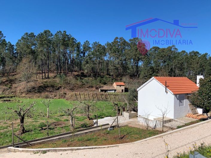 Image No.20-Maison de 1 chambre à vendre à Sertã