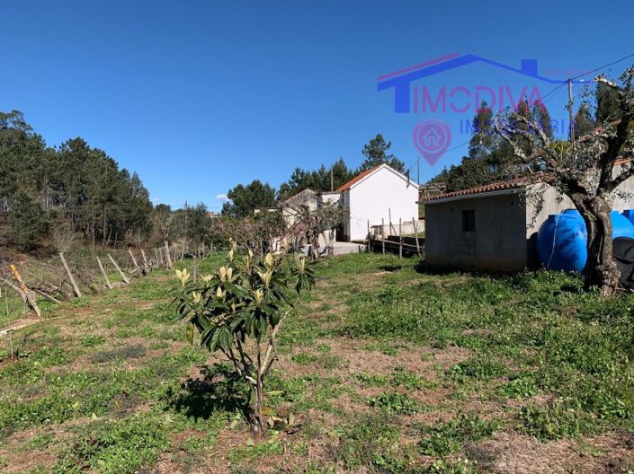 Image No.21-Maison de 1 chambre à vendre à Sertã