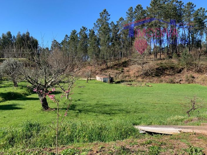 Image No.22-Maison de 1 chambre à vendre à Sertã