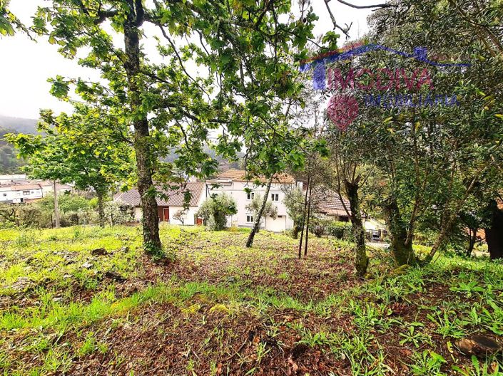 Image No.55-3 Bed House for sale