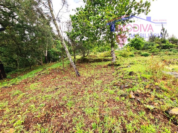 Image No.54-3 Bed House for sale