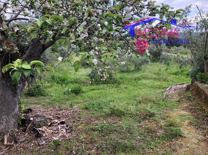 Image No.30-2 Bed House for sale