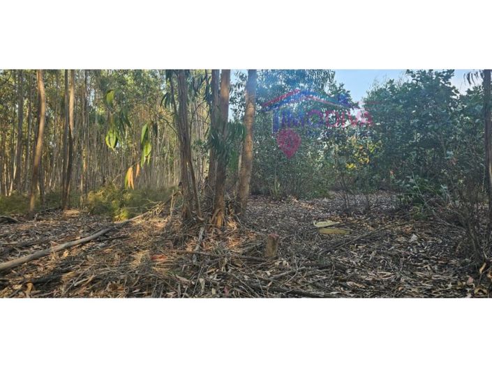 Image No.2-Plot for sale