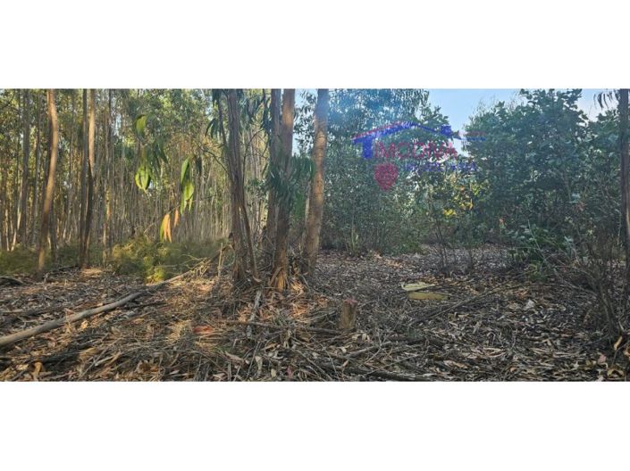 Image No.4-Plot for sale