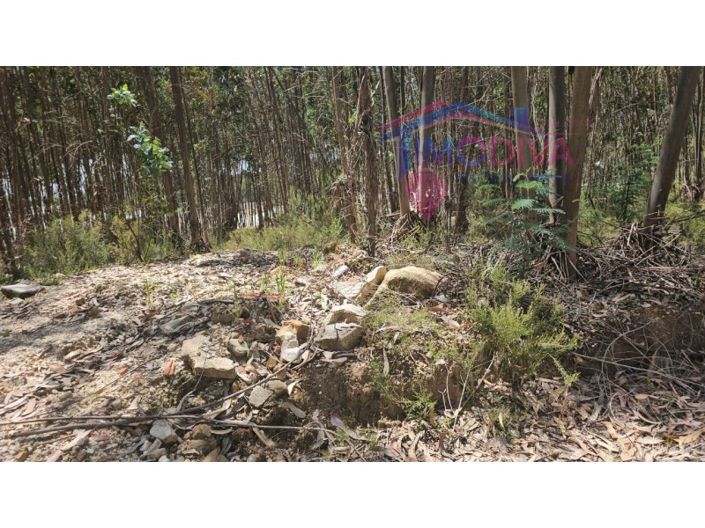 Image No.4-Plot for sale