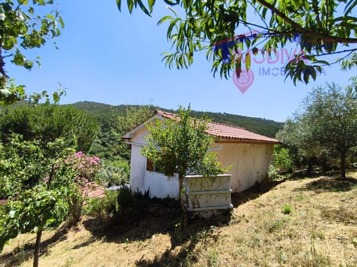 Image No.101-3 Bed House for sale