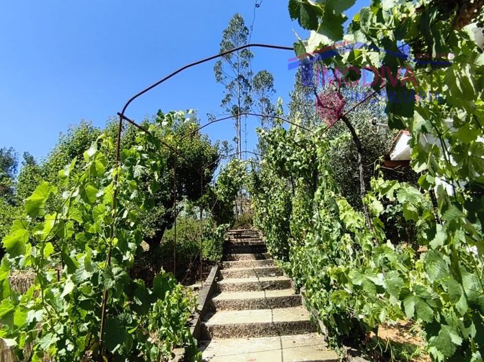 Image No.114-3 Bed House for sale