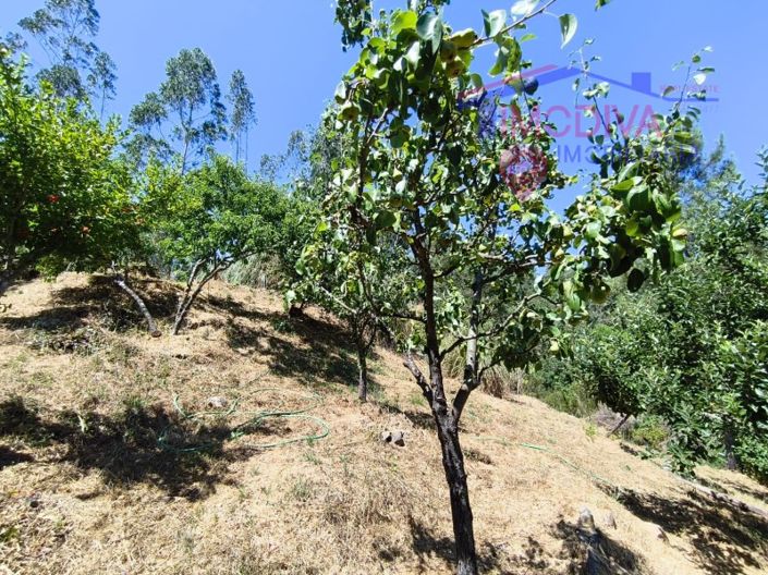 Image No.116-3 Bed House for sale