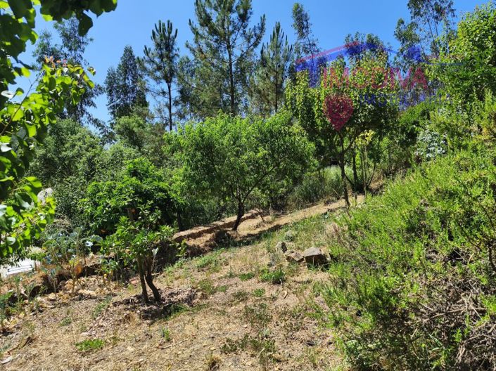 Image No.117-3 Bed House for sale