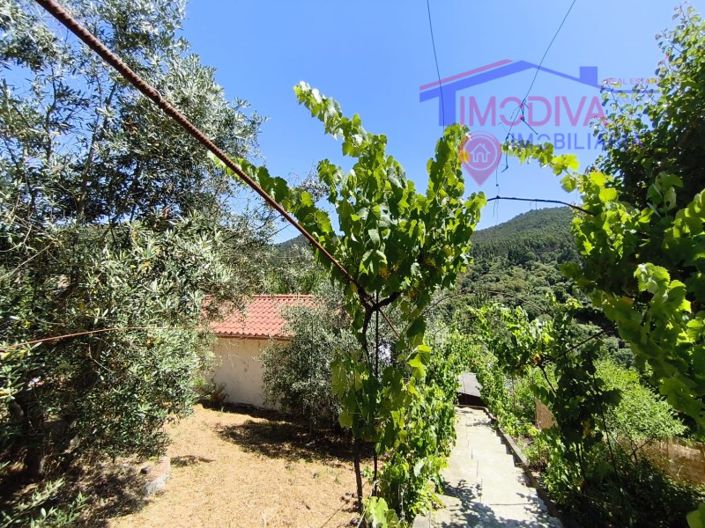 Image No.118-3 Bed House for sale