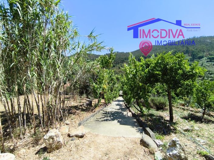 Image No.119-3 Bed House for sale