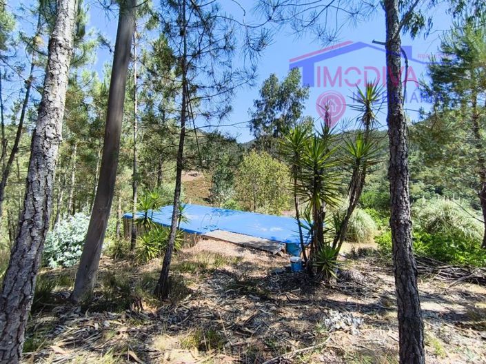 Image No.123-3 Bed House for sale