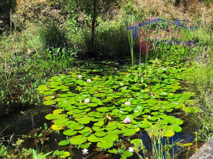 Image No.125-3 Bed House for sale