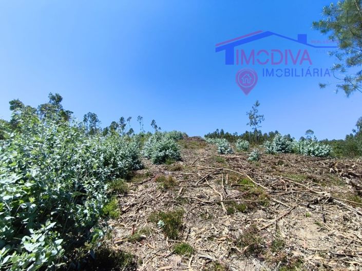 Image No.130-3 Bed House for sale