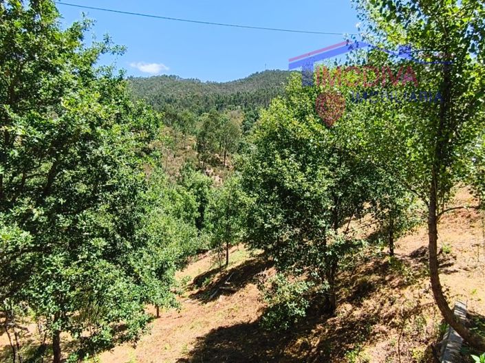 Image No.132-3 Bed House for sale