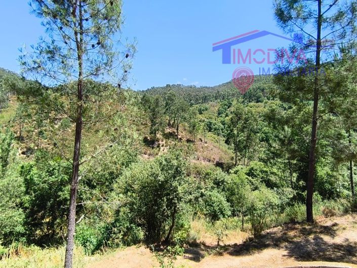 Image No.133-3 Bed House for sale