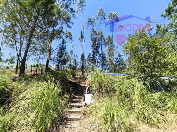 Image No.137-3 Bed House for sale