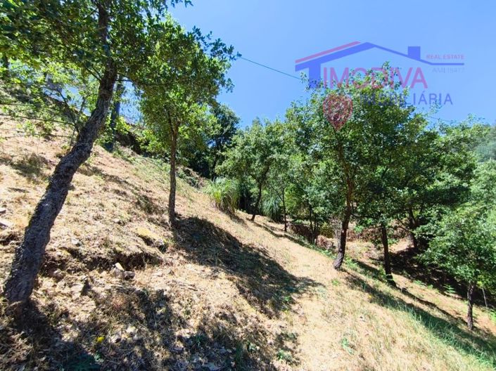 Image No.138-3 Bed House for sale