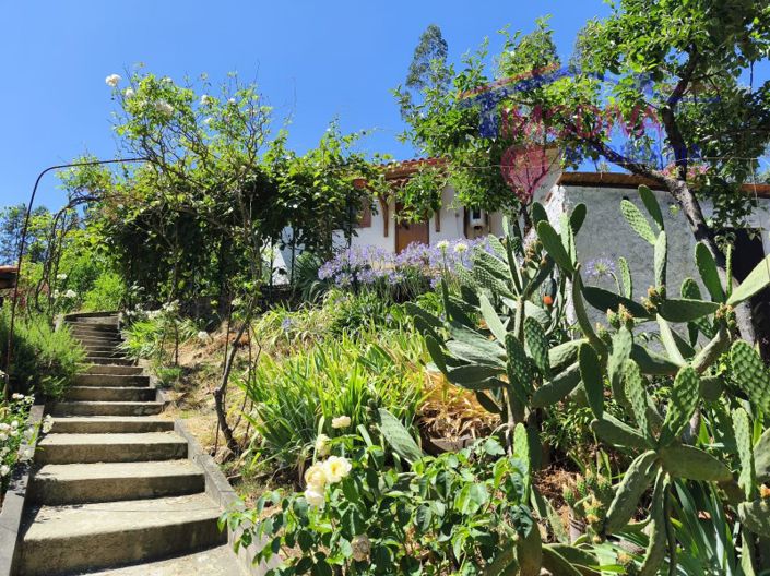 Image No.89-3 Bed House for sale