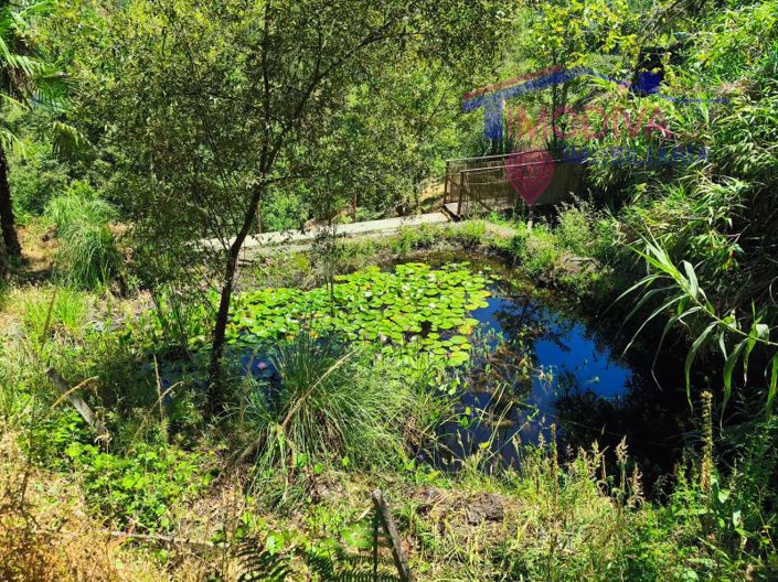 Image No.90-3 Bed House for sale