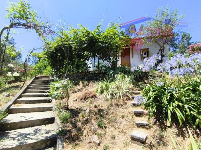 Image No.92-3 Bed House for sale