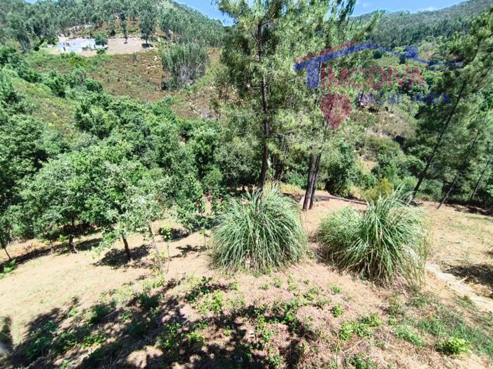 Image No.97-3 Bed House for sale