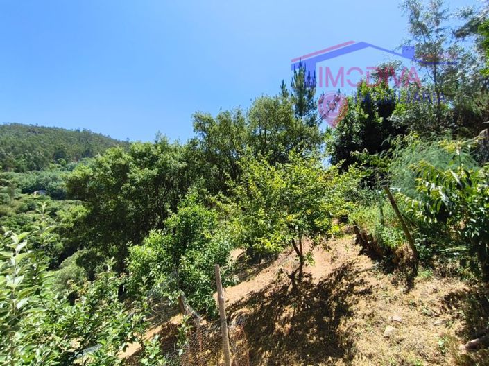 Image No.98-3 Bed House for sale