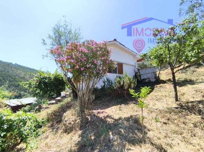 Image No.99-3 Bed House for sale