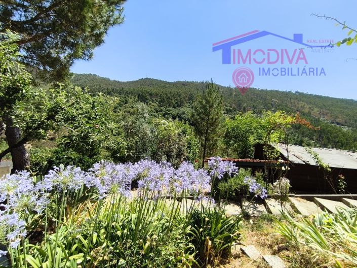 Image No.100-3 Bed House for sale