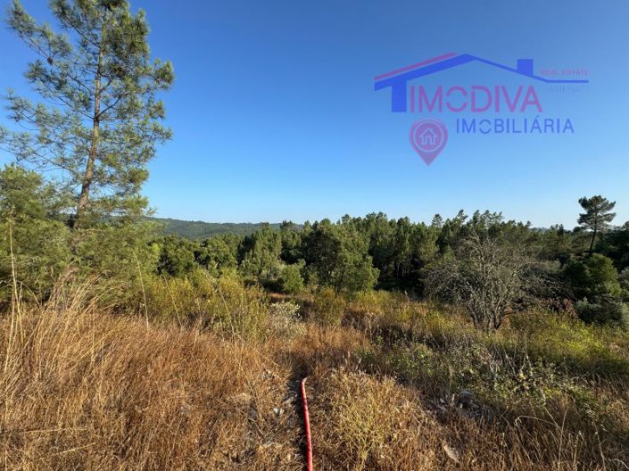 Image No.19-4 Bed House for sale