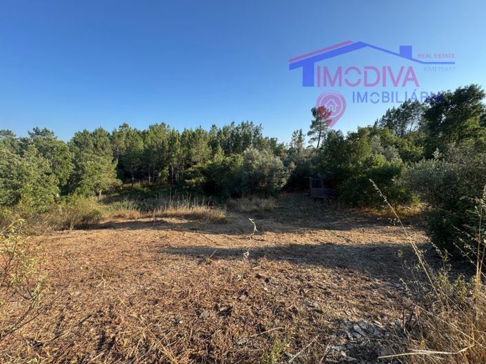 Image No.20-4 Bed House for sale