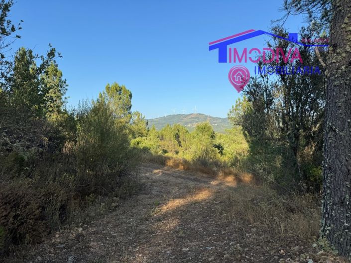 Image No.21-4 Bed House for sale