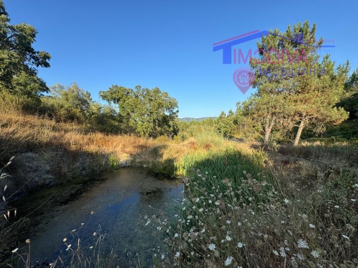 Image No.24-4 Bed House for sale