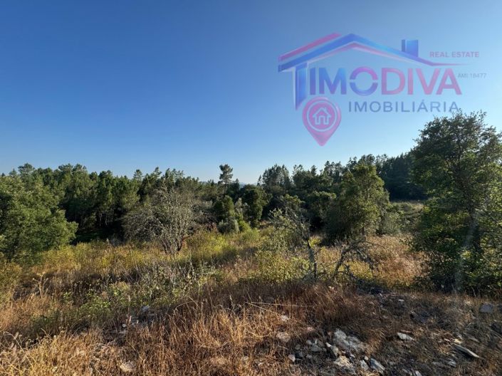 Image No.25-4 Bed House for sale
